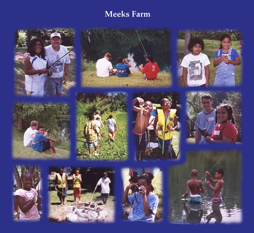 photos from Meeks farm